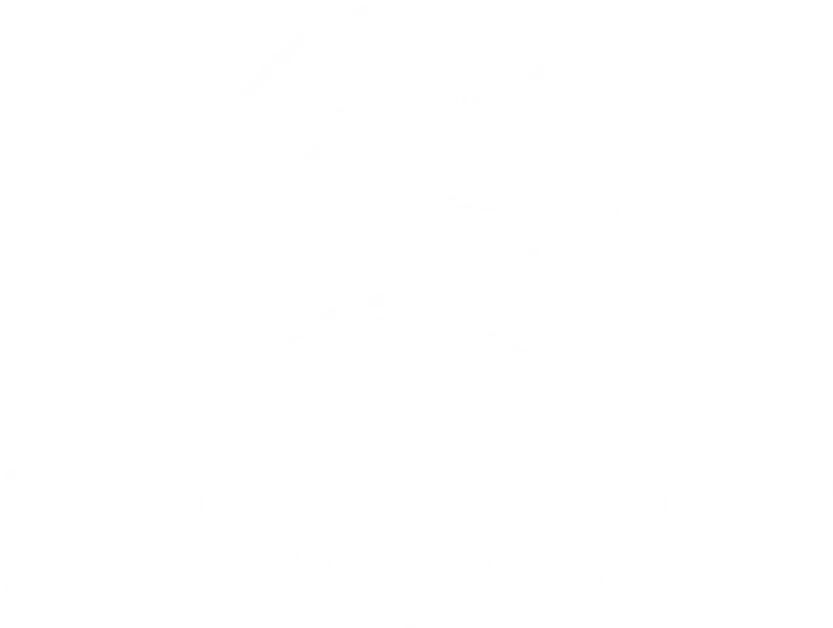 Логотип бренда ZEMDORF